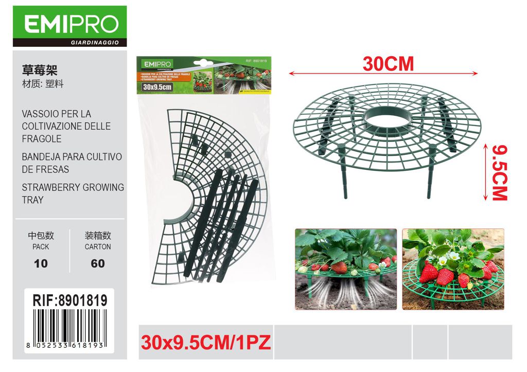 VASSOIO PER LA COLTIVAZIONE DELLE FRAGOLE 30*9.5CM 1PZ