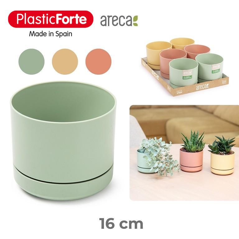 Vaso + piatto Botanic 16 cm Areca SURTIDO SUMMER
