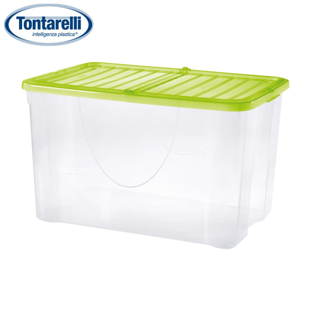 Dodo Box 60L+COPERCHIO Pieghevole Verde