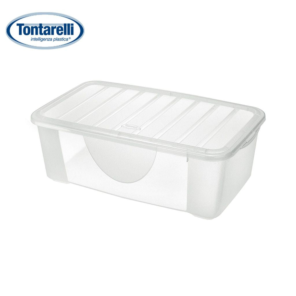 Dodo's Box L con Coperchio Trasparente