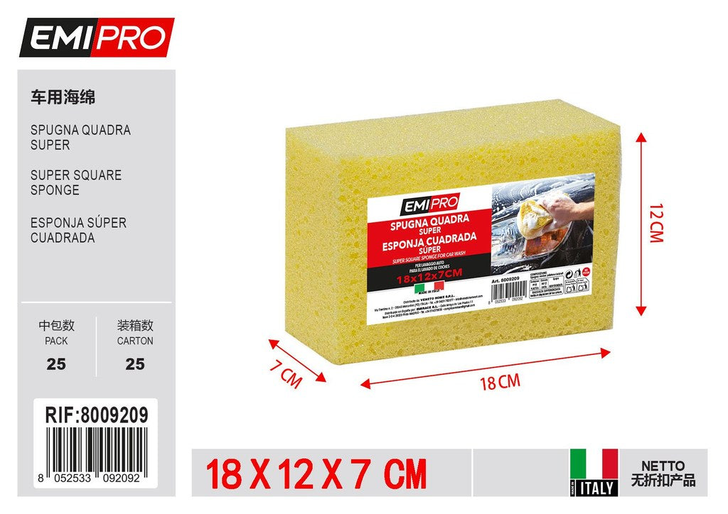 Spugna Quadra Super 18*12*7cm