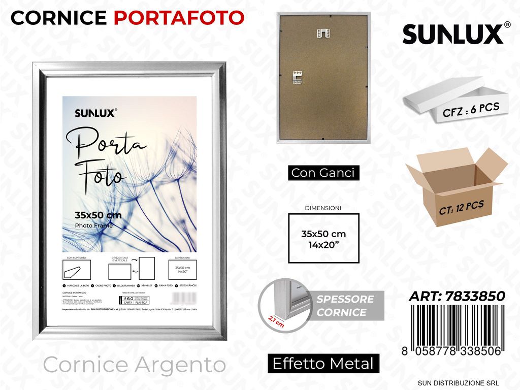 Cornice Argento c/ Ganci 35*50CM 14*20